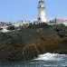 lighthouse_island_seal_machias_v_2380_can1433.jpg